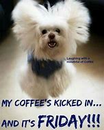 Image result for Friday Coffee Funnies
