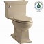 Image result for Modern Toilets Home Depot