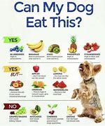 Image result for Dogs Keep Calm and Eat
