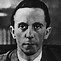 Image result for Joseph Goebbels Uniform