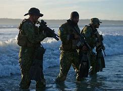 Image result for United States Navy Seals