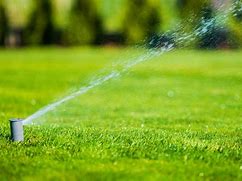 Image result for How Long to Water Grass