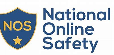 Image result for national online safety logo