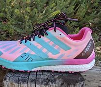 Image result for Adidas Terrex Hiking Shoes