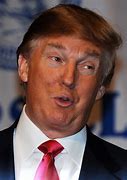 Image result for Donald Trump Roast