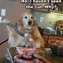 Image result for Fun Dogs