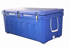 Image result for Fish Cooler Box with Lid