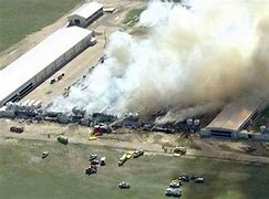 Image result for Egg farm fire