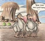 Image result for Dodo bird ambitious plan