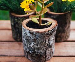 Image result for Natural Wood Planters