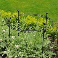 Image result for Plant Circle Supports for Garden