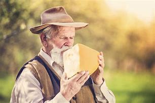 Image result for Eating a Block of Cheese