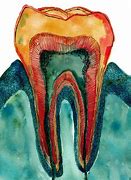 Image result for Water for Brushing Teeth