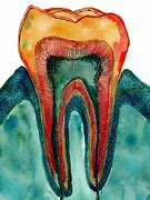 Image result for Fake Teeth in Water