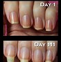 Image result for Naturally Long Nails