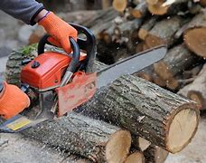Image result for Wood Cutting Chain Saw