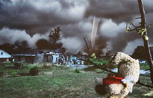 Image result for Tornado Destruction