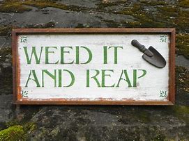 Image result for Outdoor Rustic Garden Signs