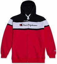 Image result for Black and White Champion Hoodie