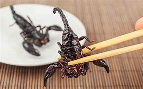 Image result for Scorpion Food