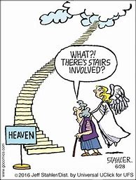Image result for Bible Humor Cartoons