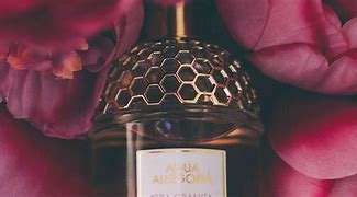 Image result for Poison Perfume for Women