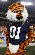 Image result for College Football Mascots