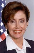 Image result for Nancy Pelosi Hair