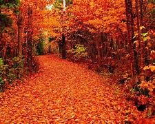 Image result for Fall Nature Screensavers