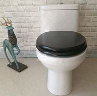 Image result for Black Toilet Seat