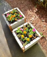 Image result for Paver Planter Borders