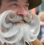 Image result for Weird Beard Contest