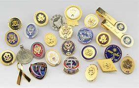 Image result for Congressional Pins for Members
