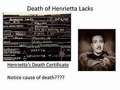 Image result for Henrietta Lacks Death Certificate