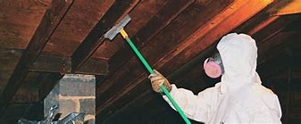 Image result for Black Mold Removal in Attic