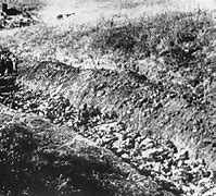 Image result for Einsatzgruppen Babi Yar Footage