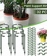 Image result for House Plant Supports
