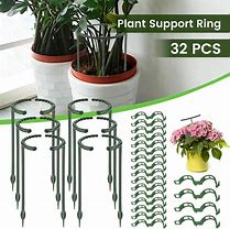 Image result for Potted Plant Supports
