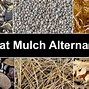 Image result for straw mulch