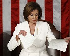 Image result for Pelosi Fly
