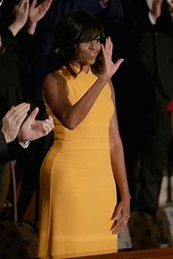 Image result for Michelle Obama Blue Dress Bump