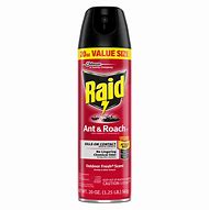 Image result for Raid Ant Control