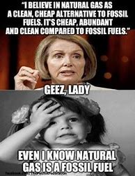 Image result for Famous Quotes by Nancy Pelosi