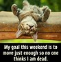 Image result for How My Week Is Meme
