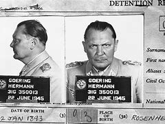 Image result for Hermann Goering TNO