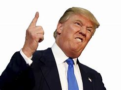 Image result for Free Donald Trump Pictures
