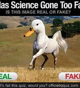 Image result for Science Gone Too Far