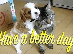 Image result for Hope Your Day Gets Better Today