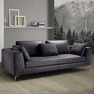 Image result for Black Couch