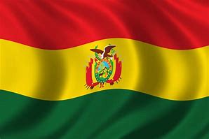 Image result for Bolivia Flag